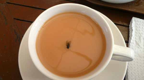 Το τσάι με τη μύγα: Αν λύσεις τον γρίφο που έχει τρελάνει το ίντερνετ, τότε ανήκεις στους πιο ευφυείς Έλληνες